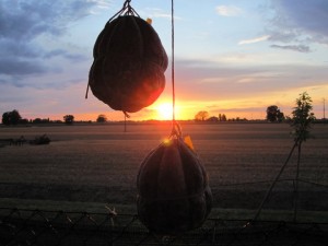 Tramonto di Salama